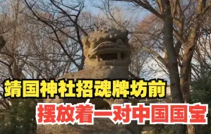 Download Video: 可恨！靖国神社招魂牌坊前摆放着一对中国国宝