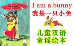 我是一只小兔/I am a Bunny哔哩哔哩bilibili