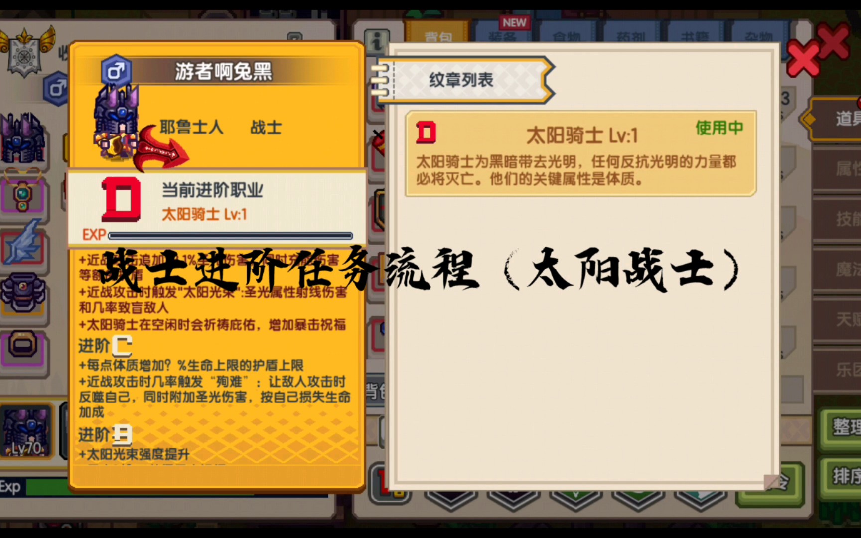 活动  (伊洛纳)太阳战士—战士进阶职业任务流程