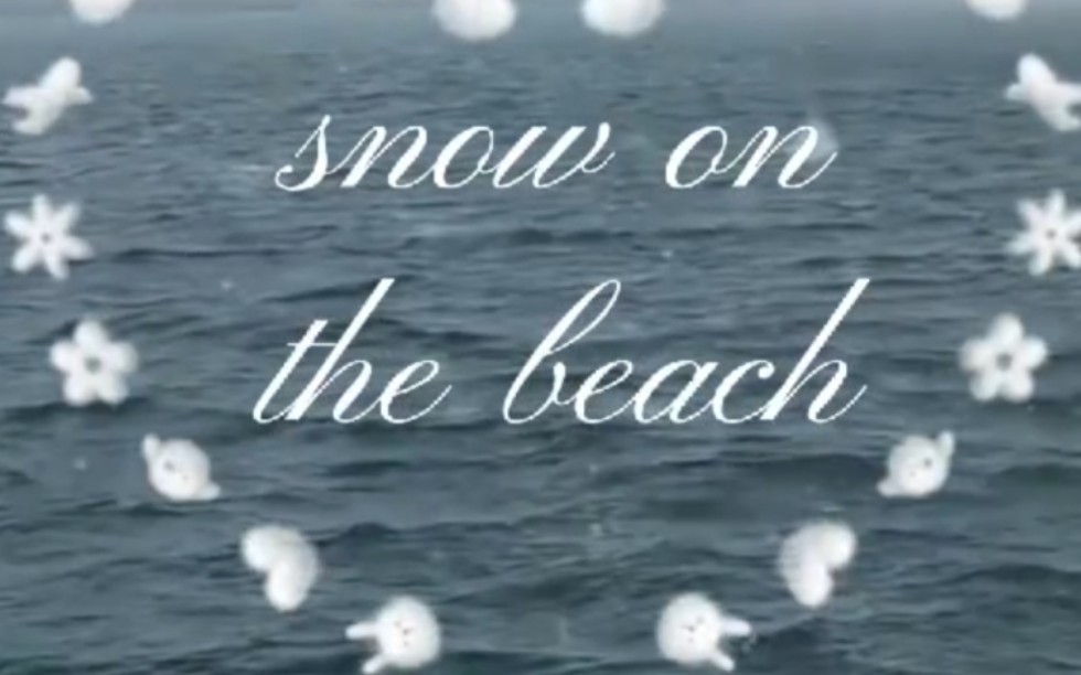 [图]【snow on the beach】你听～雪落海边的声音