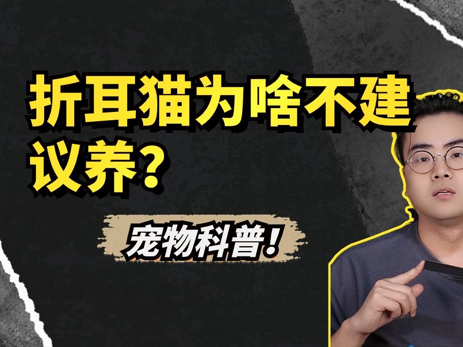 折耳猫千万不能养,养了可能间接造孽