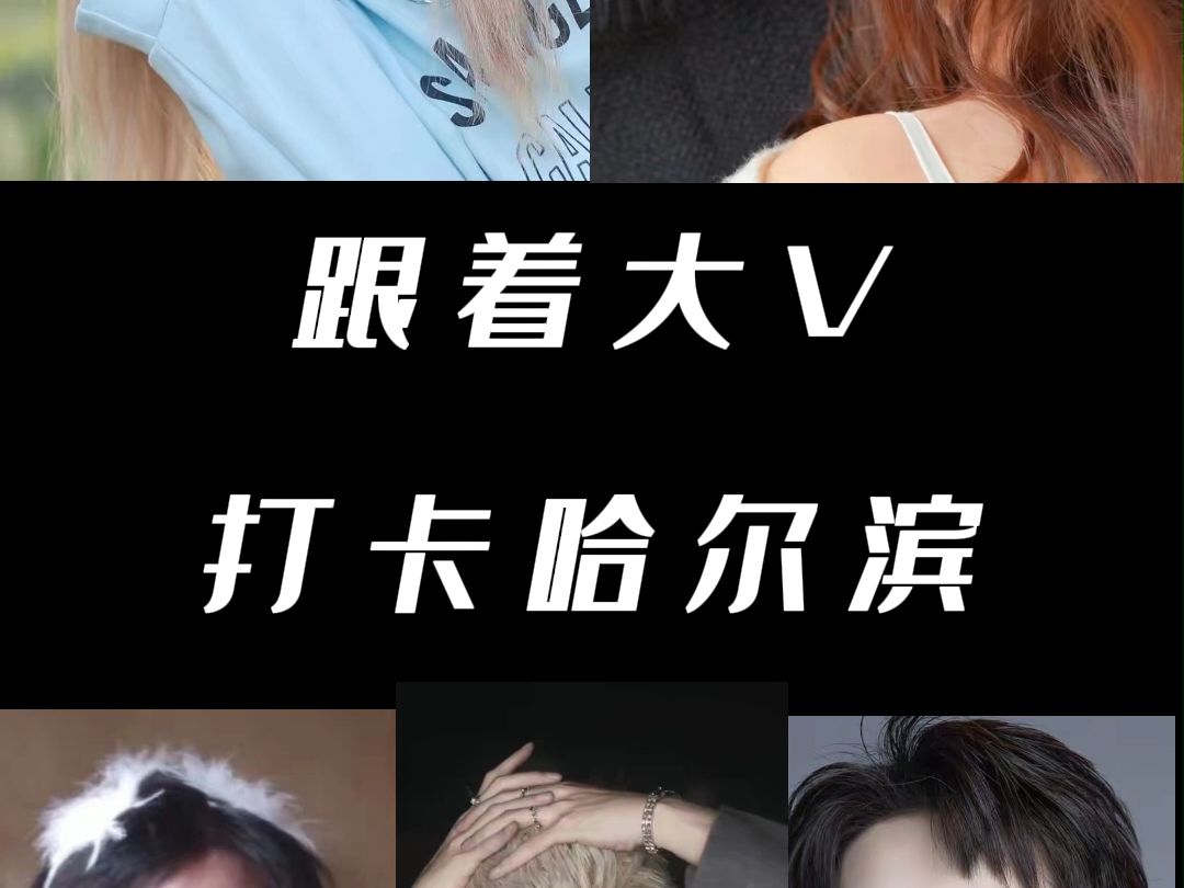 跟着大V打卡哈尔滨哔哩哔哩bilibili