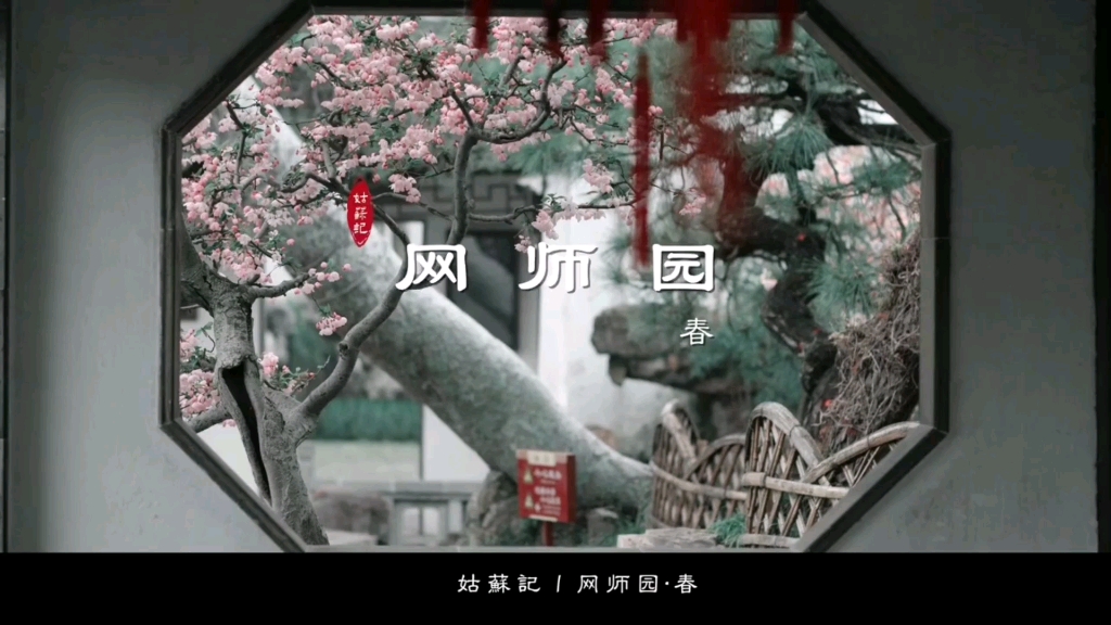 中国园林:网师园ⷦ˜娧†频原创出处:姑苏记#云想设计美学哔哩哔哩bilibili