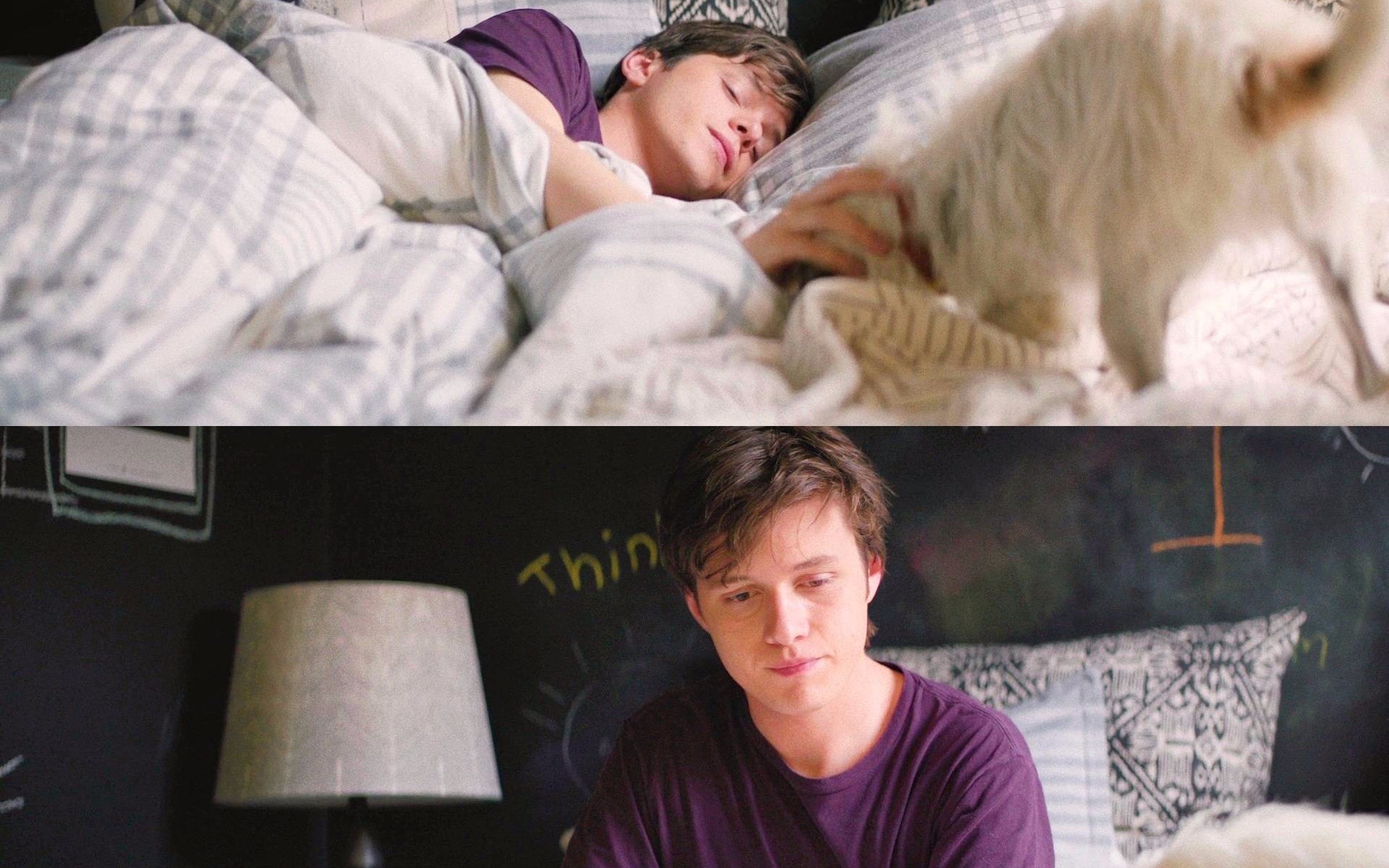 love you,simon.爱你,西蒙7815?