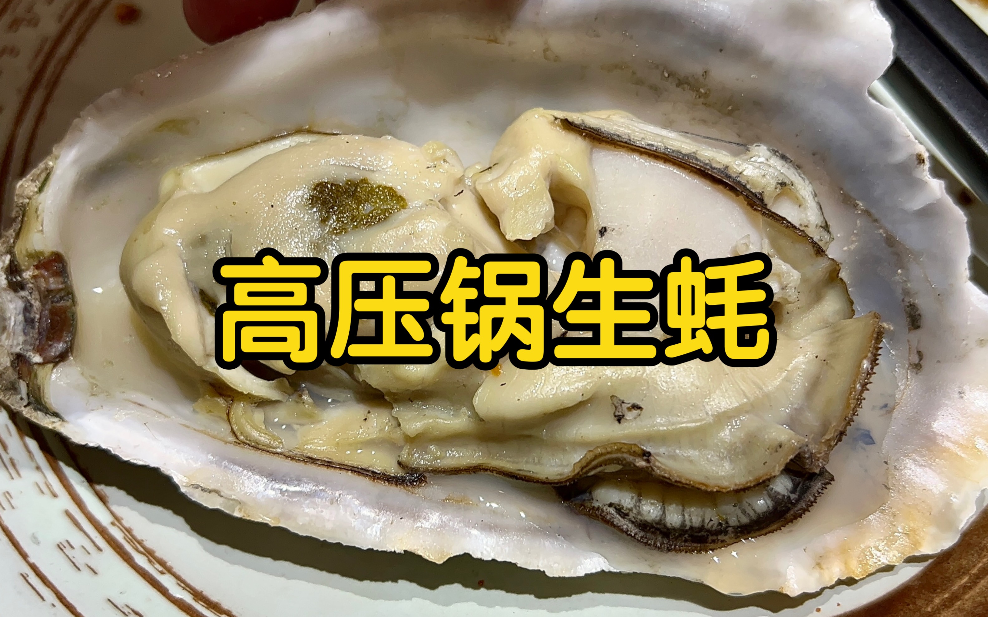 【上海定西路美食】超大高压锅生蚝!海鲜粥!哔哩哔哩bilibili