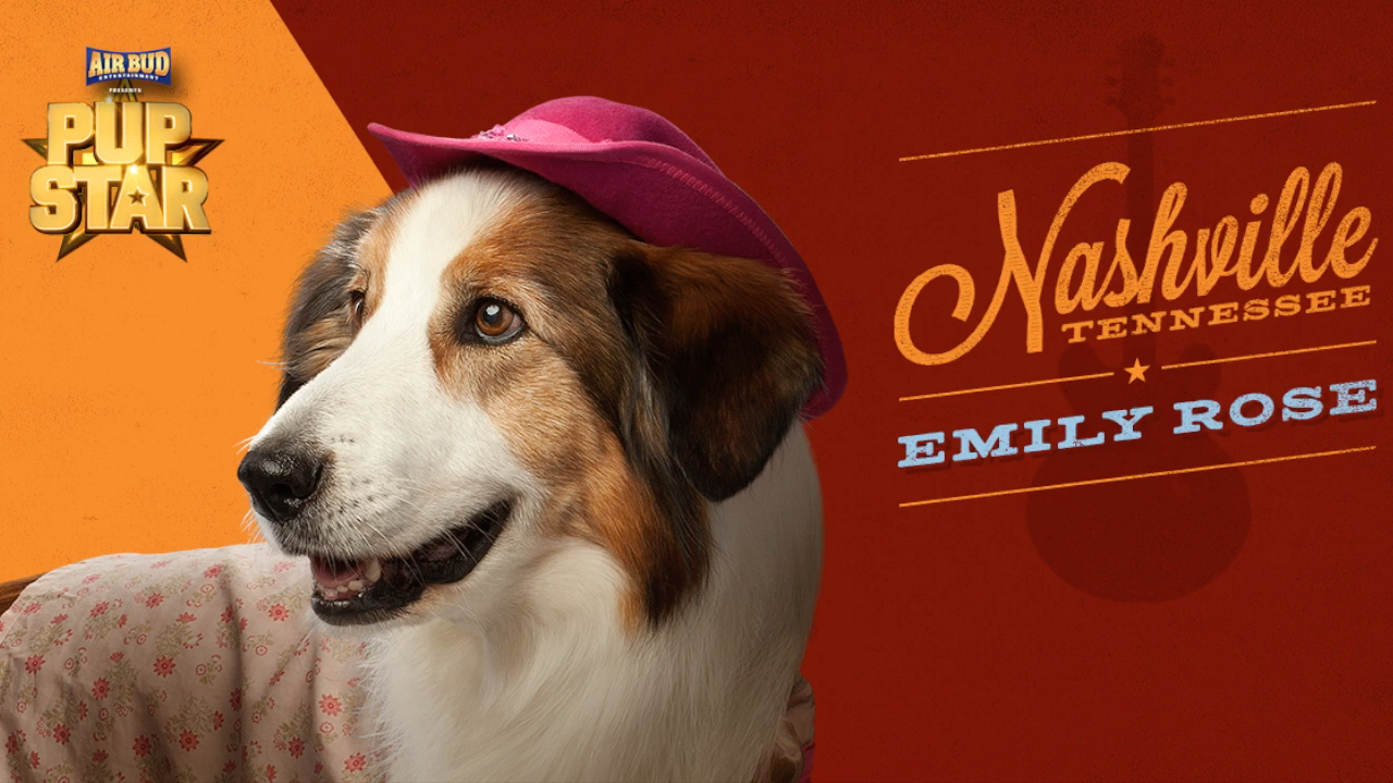 萌犬好声音艾米丽萝斯