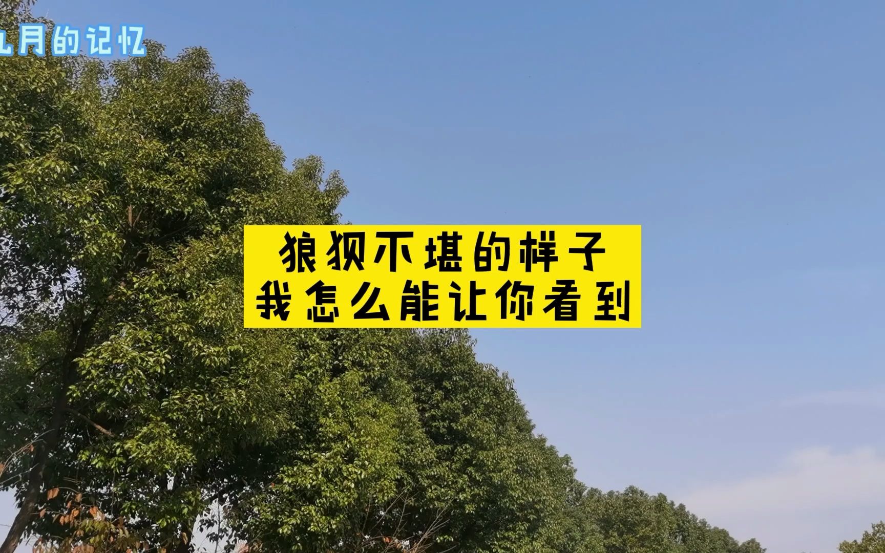 狼狈不堪的样子,我怎么能让你看到?