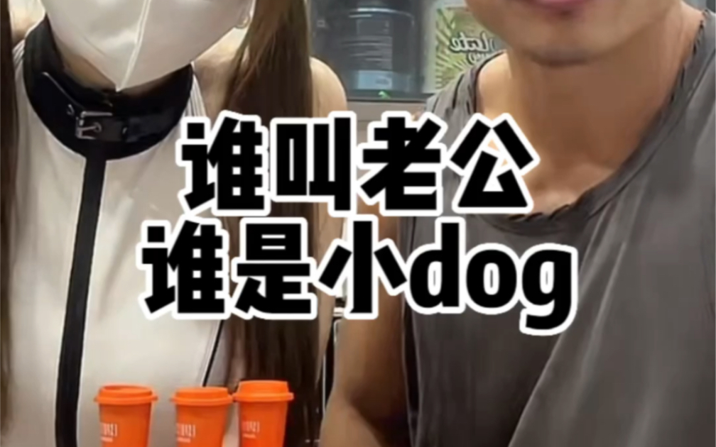 谁叫老公谁是小狗