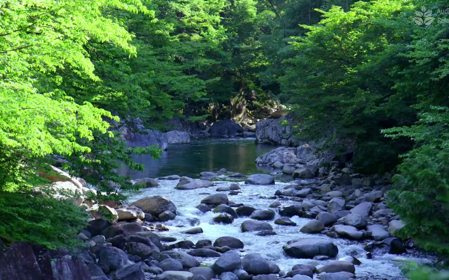 优美的山间溪流声