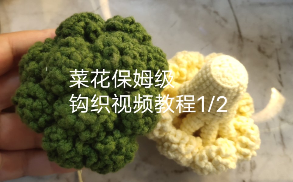 [图]菜花保姆级视频教程1/2