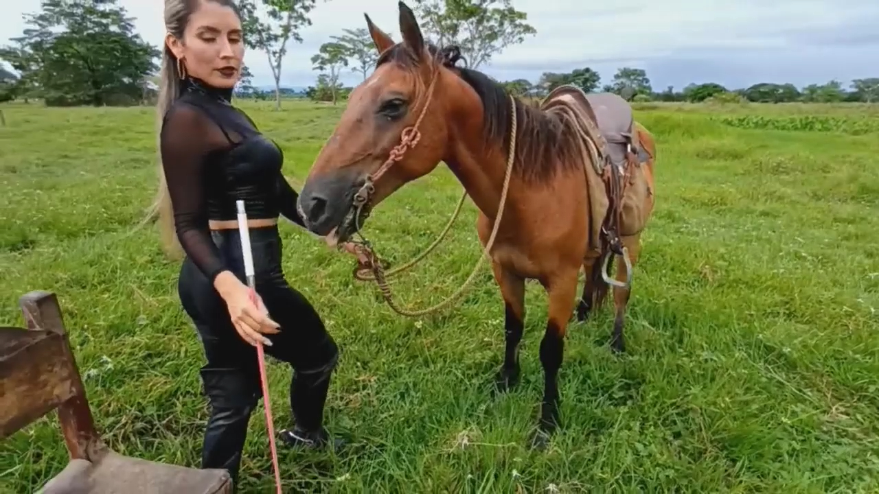 银发1银发大屁屁小姐姐驯马