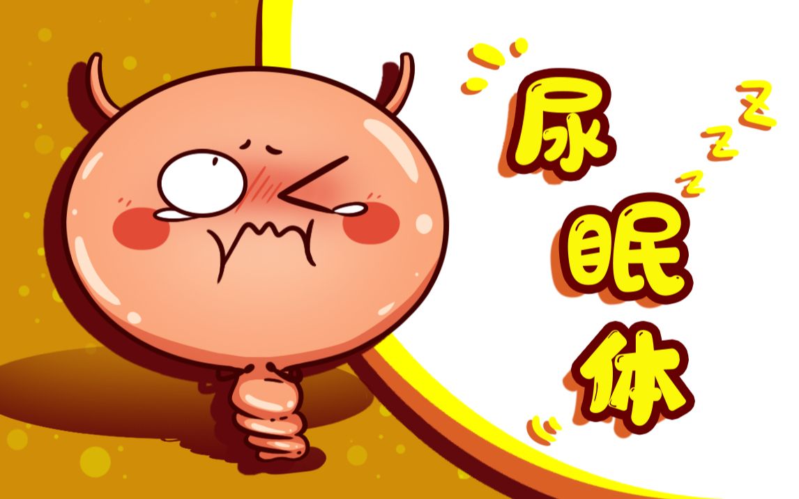 为什么睡觉前总想上厕所?哔哩哔哩bilibili