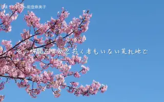 能等麻美子 搜索结果 哔哩哔哩 Bilibili 能等麻美子 搜索结果 哔哩哔哩 Bilibili