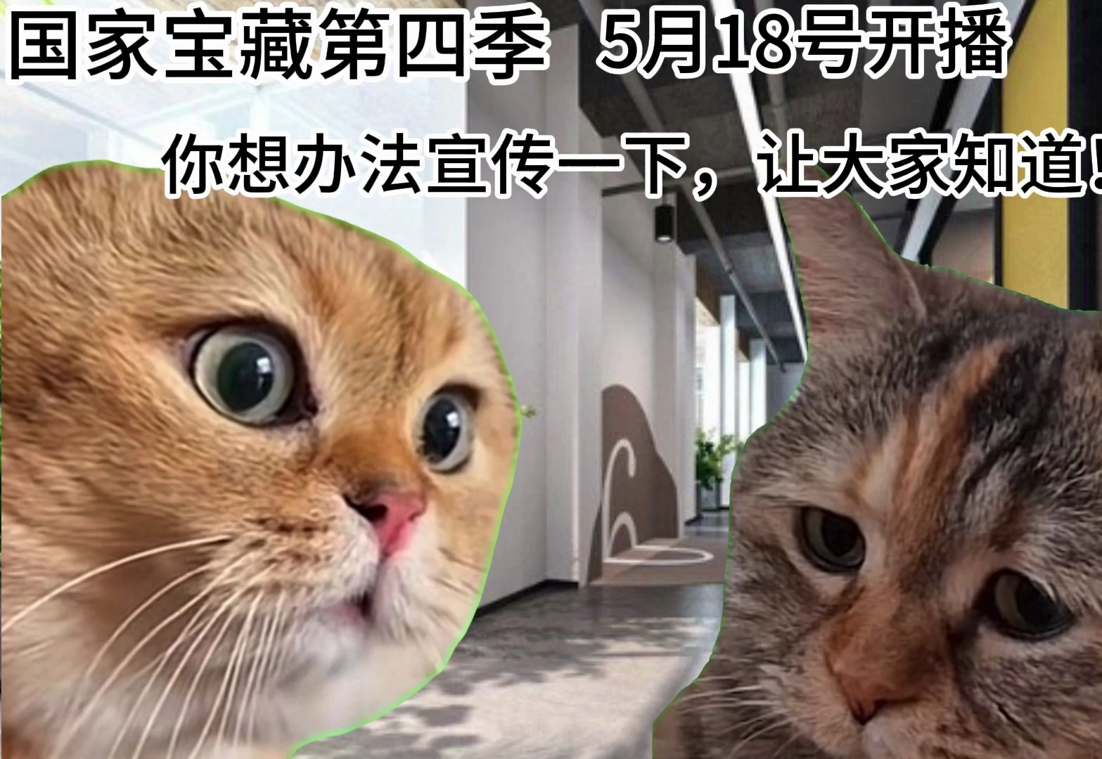 [图]主管终于把国家宝藏IP宣传交给我了！【猫meme】