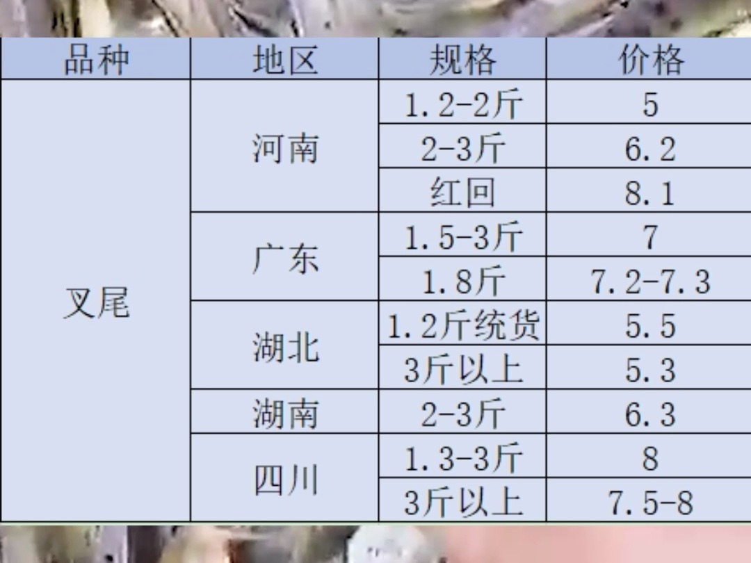 叉尾9.27哔哩哔哩bilibili