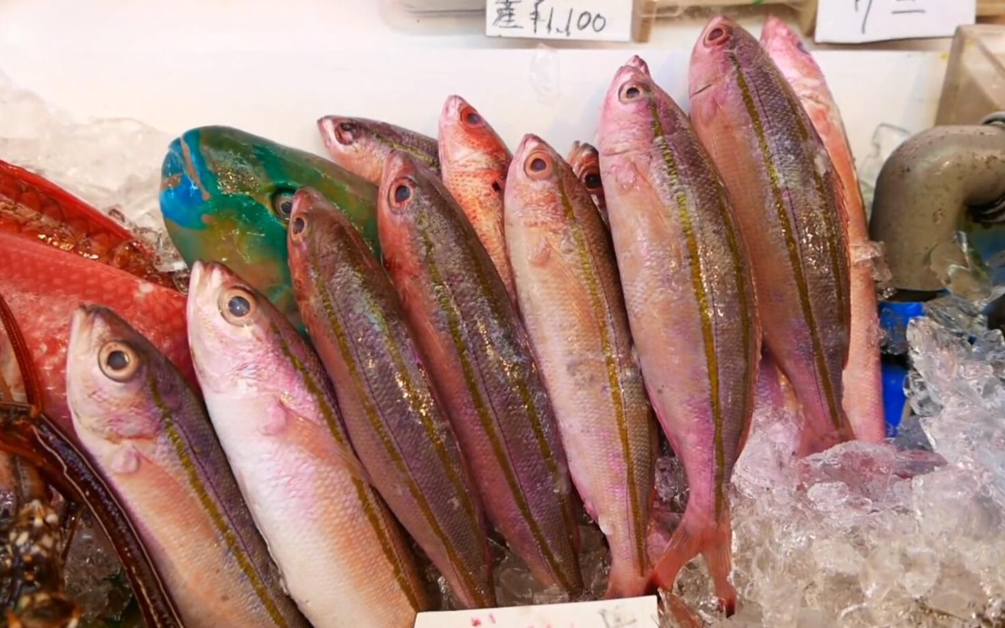 日本街头食品 - 香蕉鱼 日本海鲜