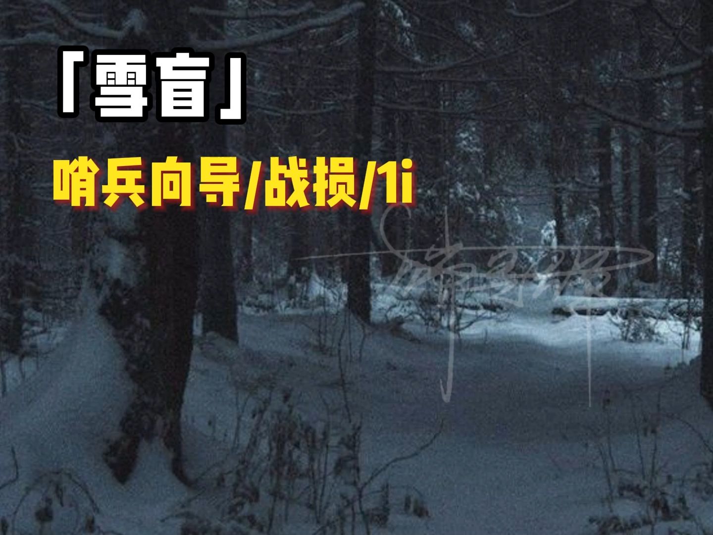 【女性向中文音】雪盲——删减版/哨兵向导/战损/1i/HE哔哩哔哩bilibili