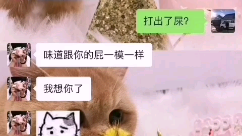 挨个徒步玛鲁娜去哪哔哩哔哩bilibili