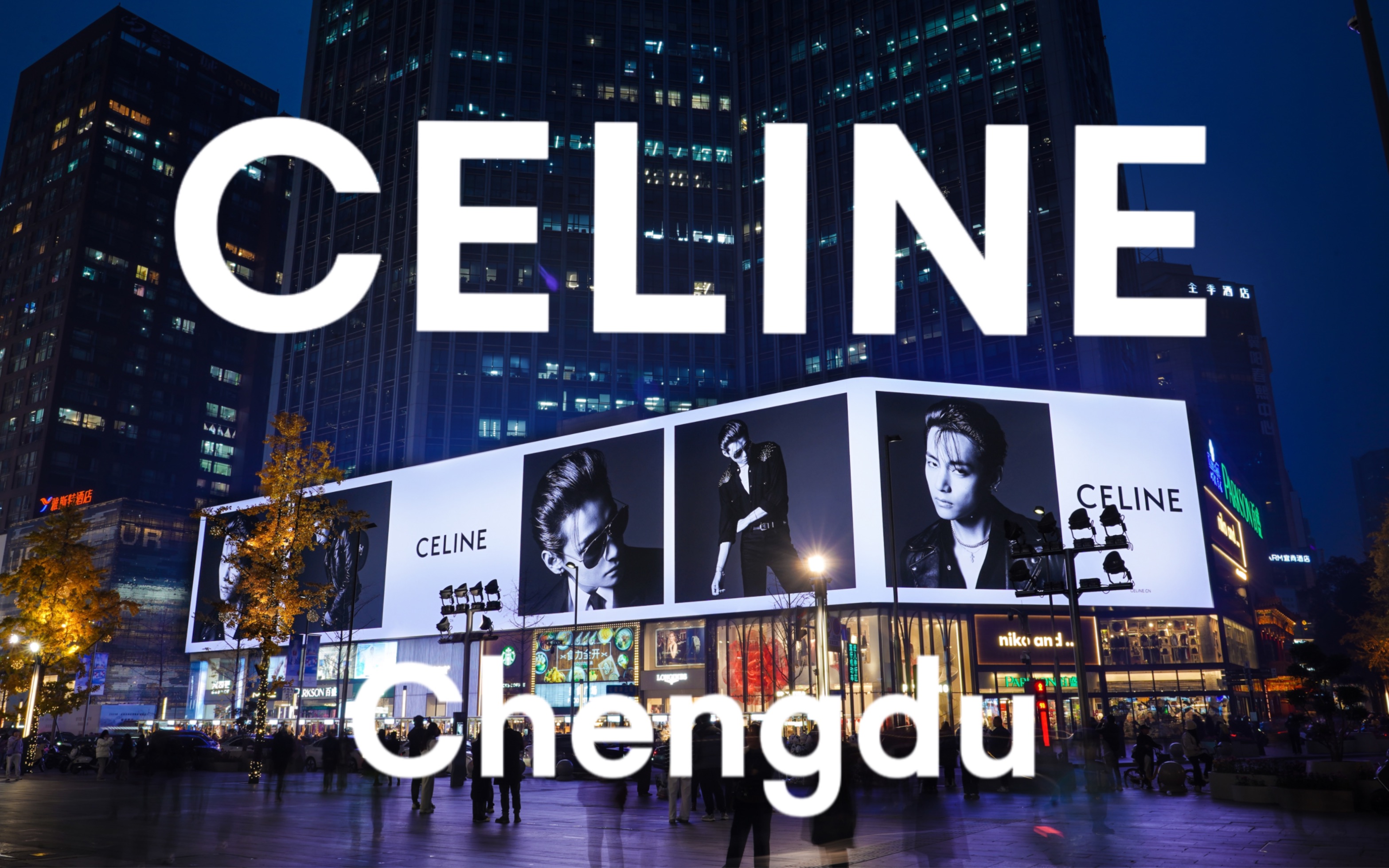 celine壁纸图片图片