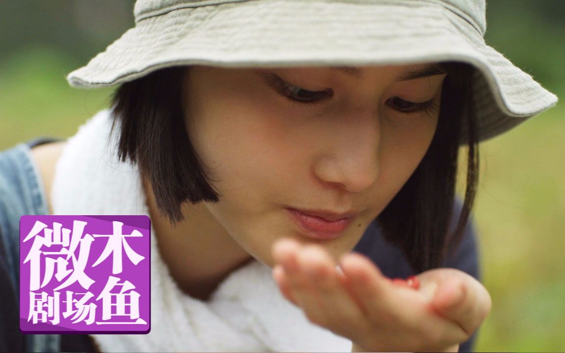 【木鱼微剧场】《小森林冬春篇》