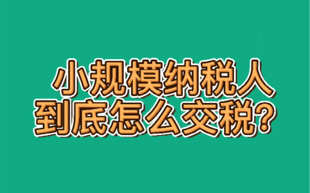 小规模纳税人怎样交税!哔哩哔哩bilibili