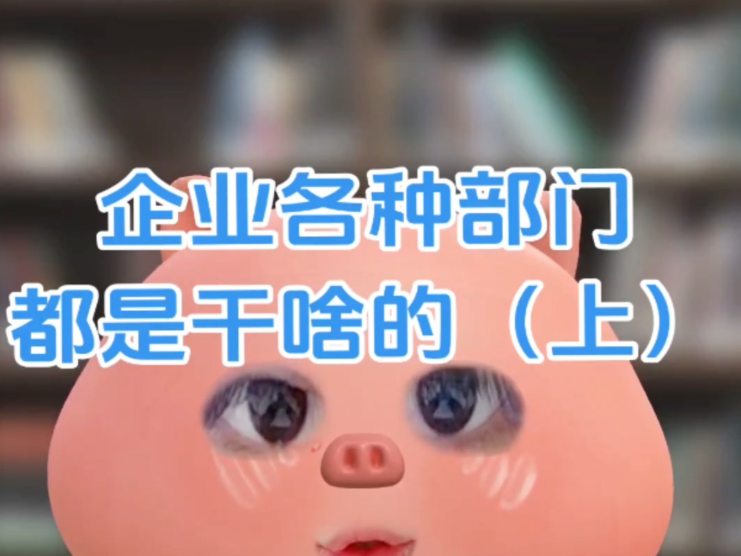 企业各部门都是干啥的(上)哔哩哔哩bilibili