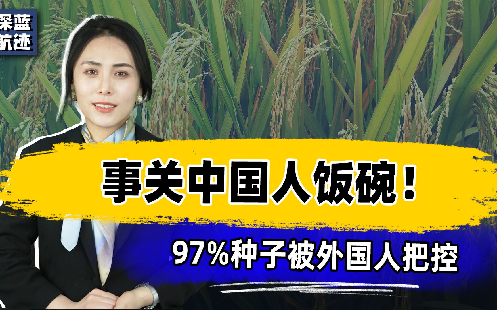 事关中国人饭碗!97%种子被外国人把控,日本已经动手,形势严峻哔哩哔哩bilibili