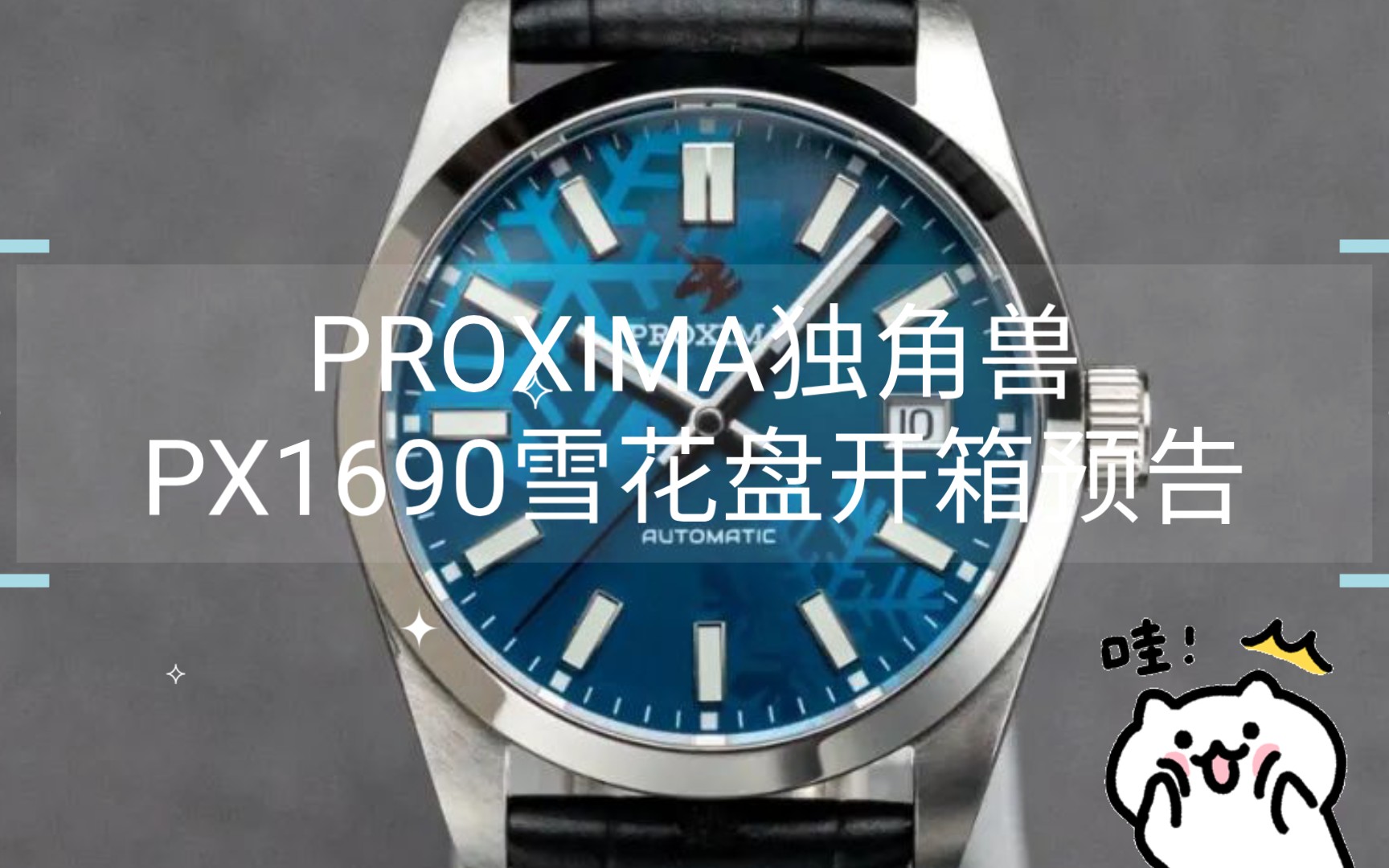 PROXIMA独角兽PX1690雪花盘开箱预告哔哩哔哩bilibili