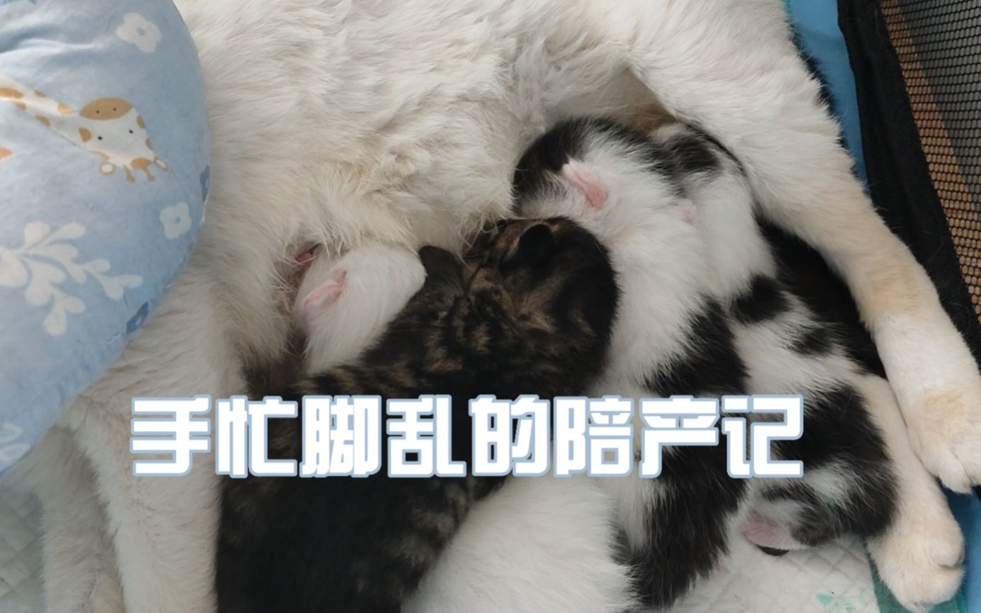 手忙脚乱的陪产记