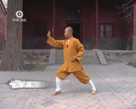 【释德扬】少林太祖长拳(少林长拳)哔哩哔哩bilibili