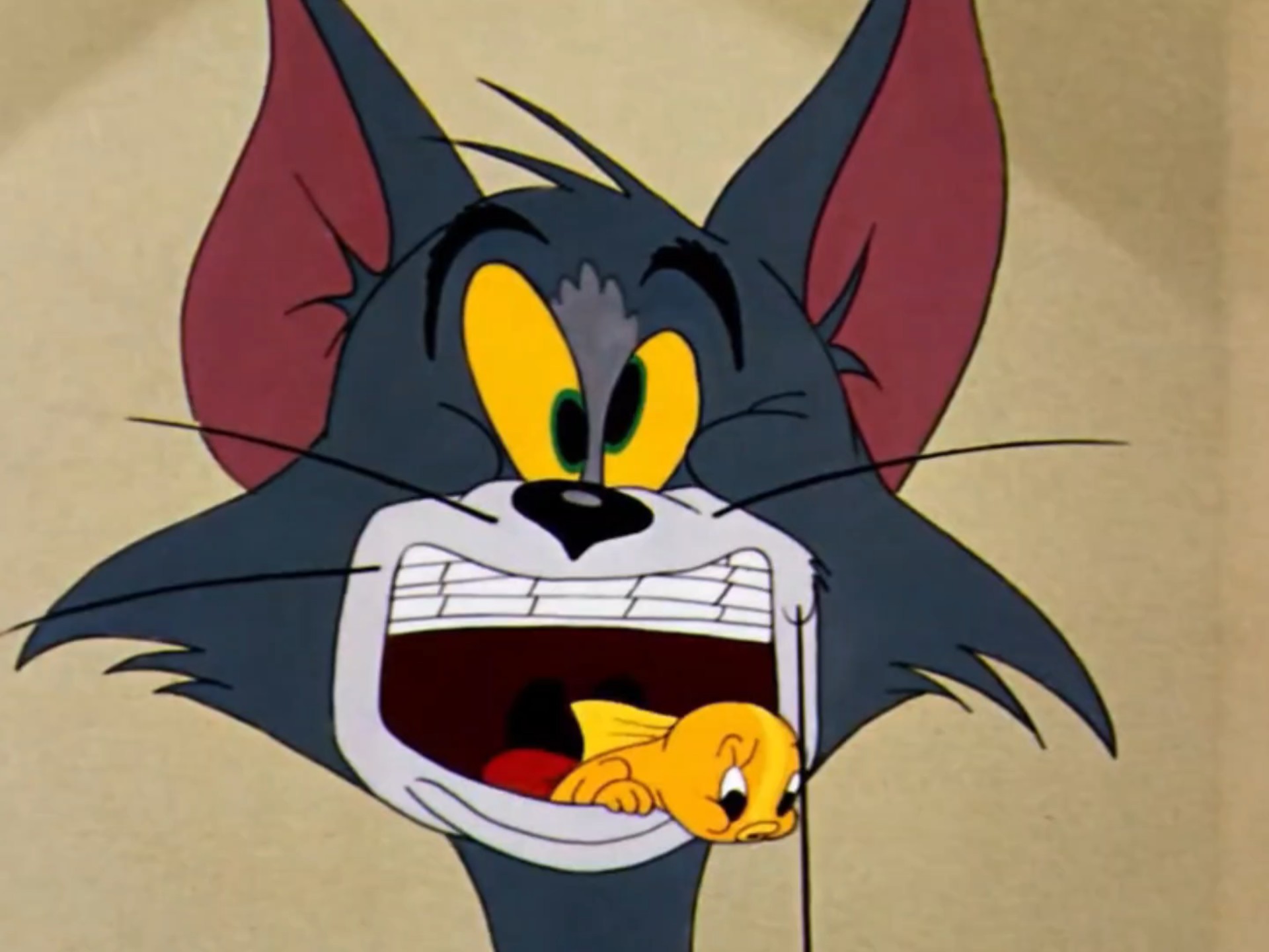 给汤姆变成拉帘了