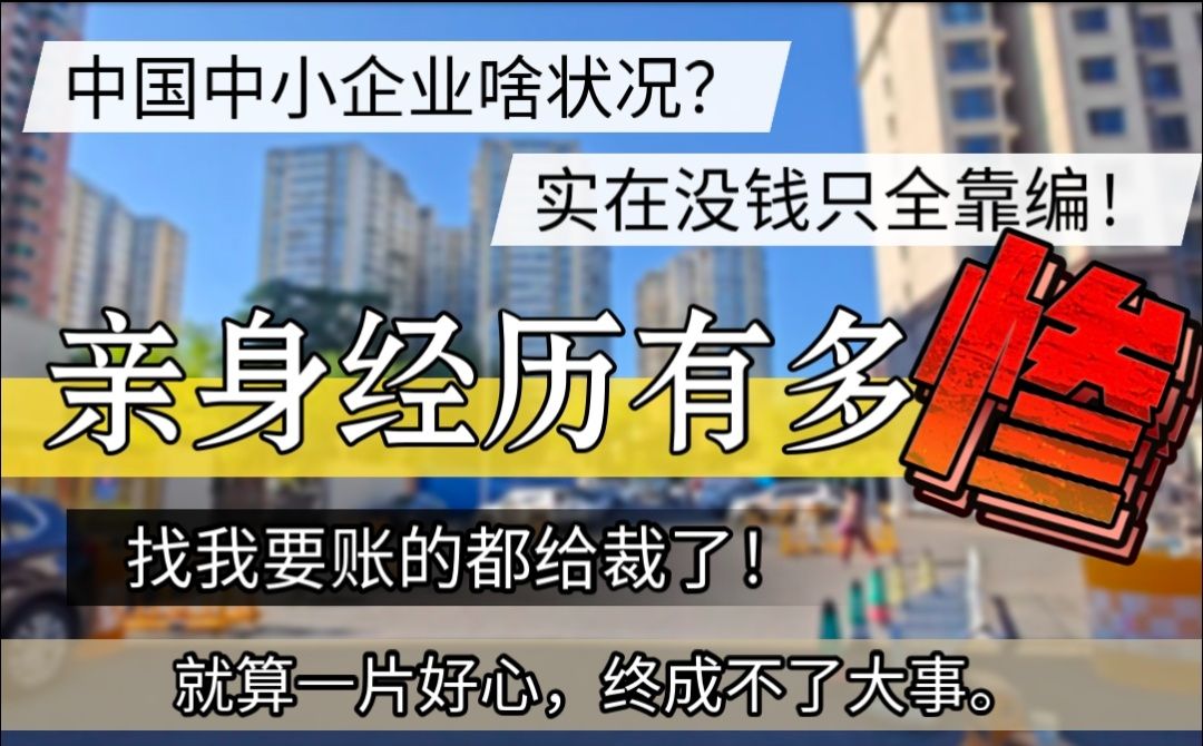 中国中小企业状况,没钱全靠编,亲身经历有多惨,好心成不了大事哔哩哔哩bilibili