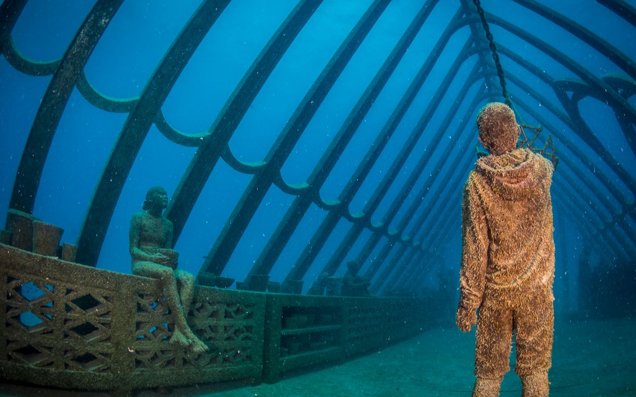 南半球首个水下艺术博物馆现身大堡礁 | 澳大利亚旅行_哔哩哔哩 (゜