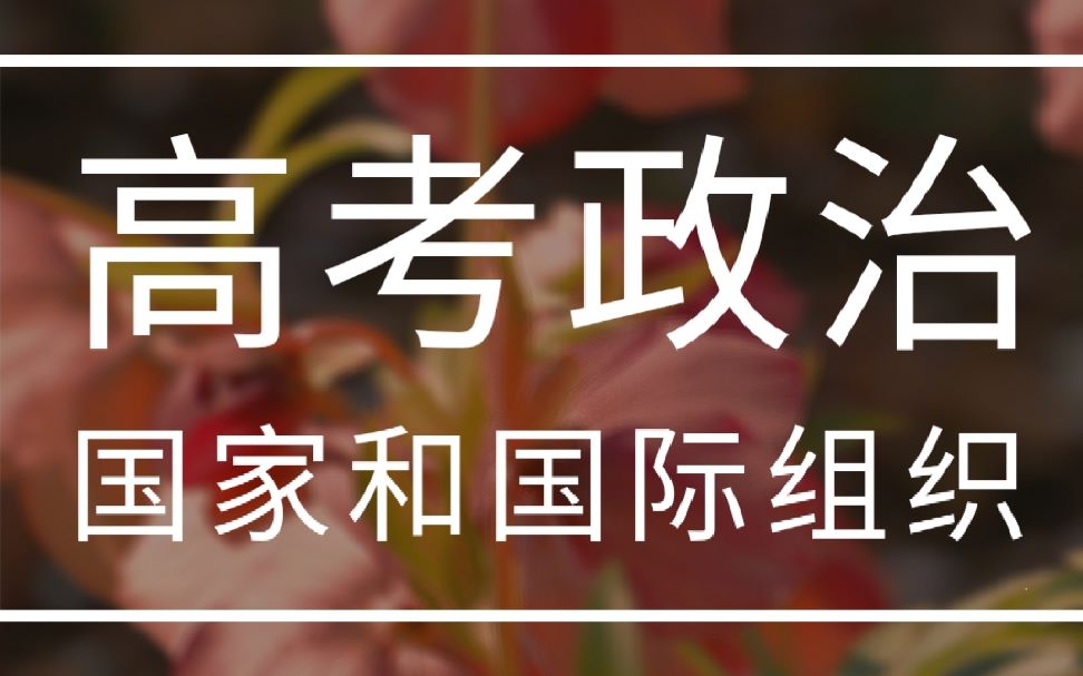 [图]【备战高考——政治 国家和国际组织】13分钟带你回顾高考政治必背知识点之国家和国际组织专题 加油学习鸭！！