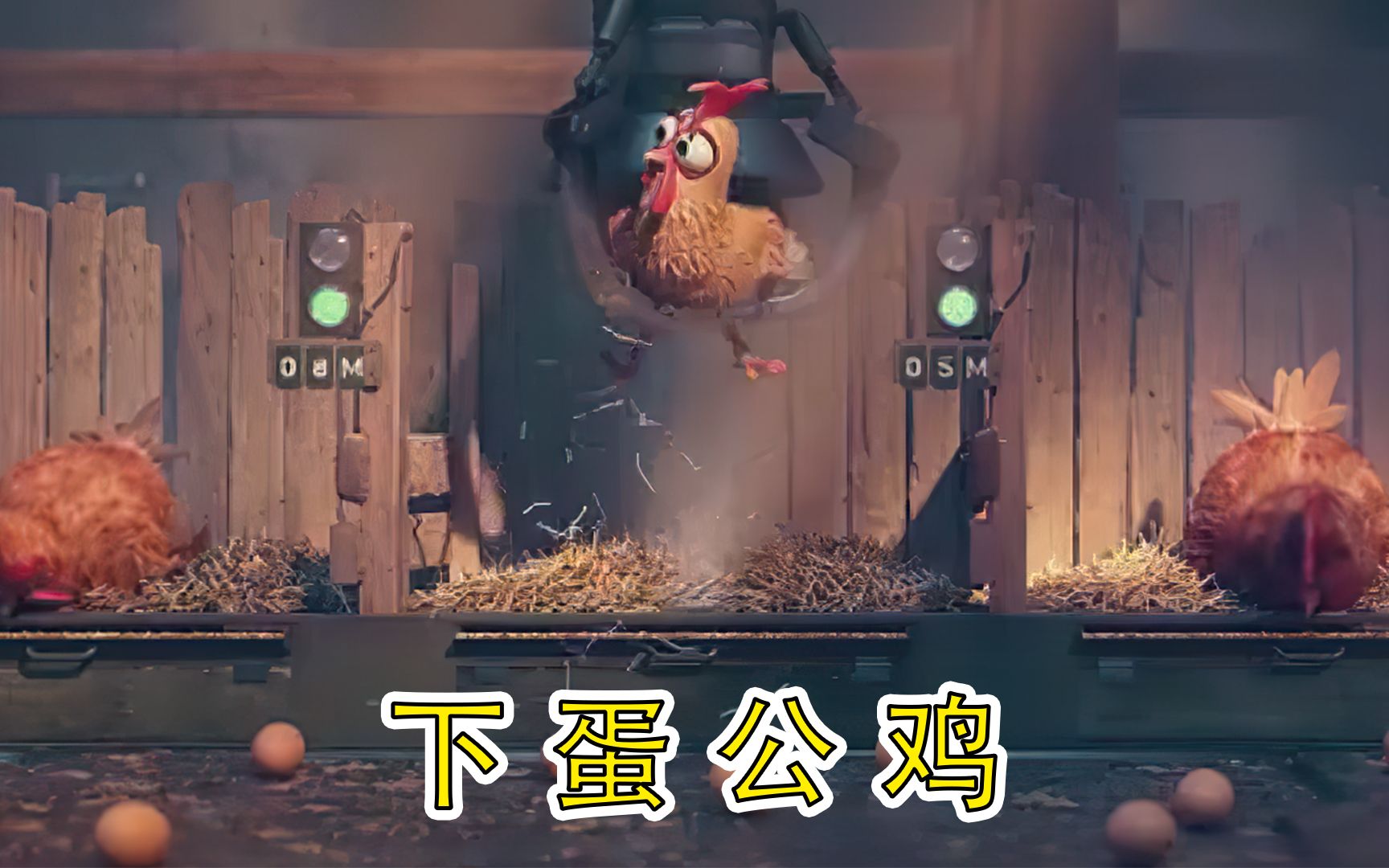 这家养鸡场公鸡居然会下蛋