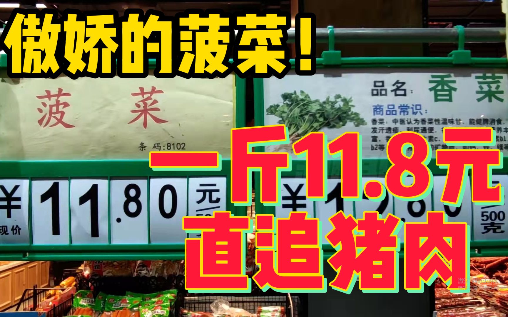 傲娇的菠菜!价格一斤11.8元直追猪肉,业内人士分析涨价原因哔哩哔哩bilibili