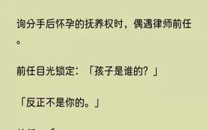 (全文已完结)咨询分手后怀孕的抚养权时，偶遇律师前任。前任目光锁定孩子是谁的反正不是...