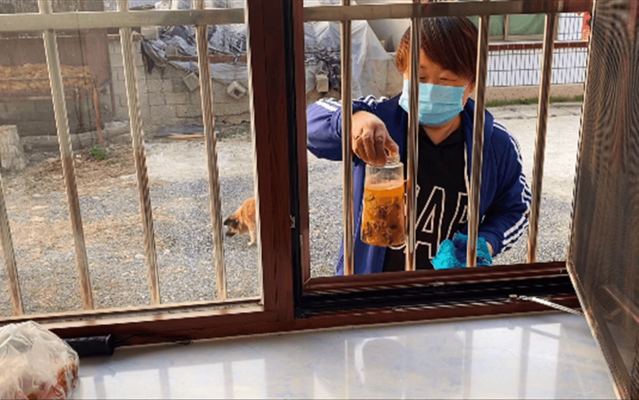 农村小遥为啥被隔离在厕所?运动减肥好还是节食好?说说你的看法