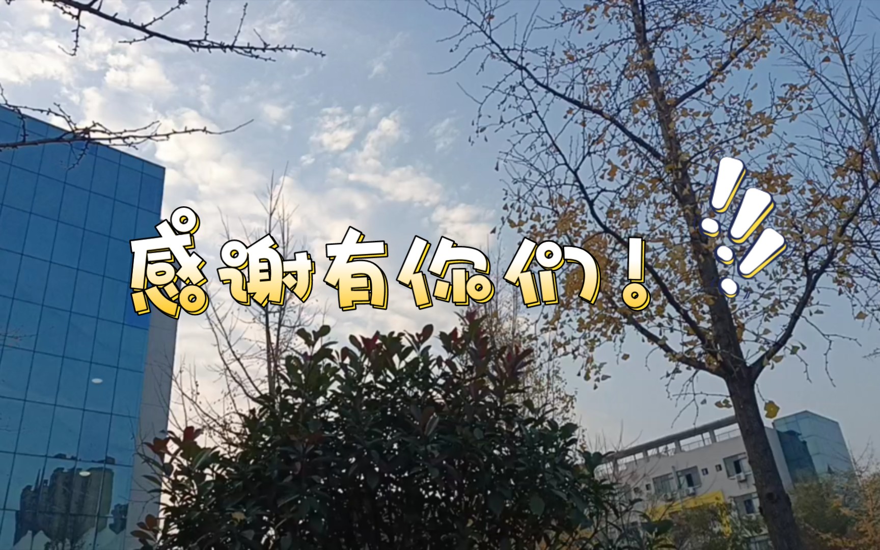 感谢我的朋友们让我平淡的生活变得五彩斑斓