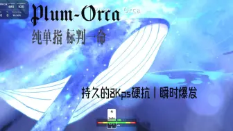 Video herunterladen: 【冰与火之舞/硬抗/标判首通】单指硬抗双押!Plum-Orca 纯单指单键标判一命