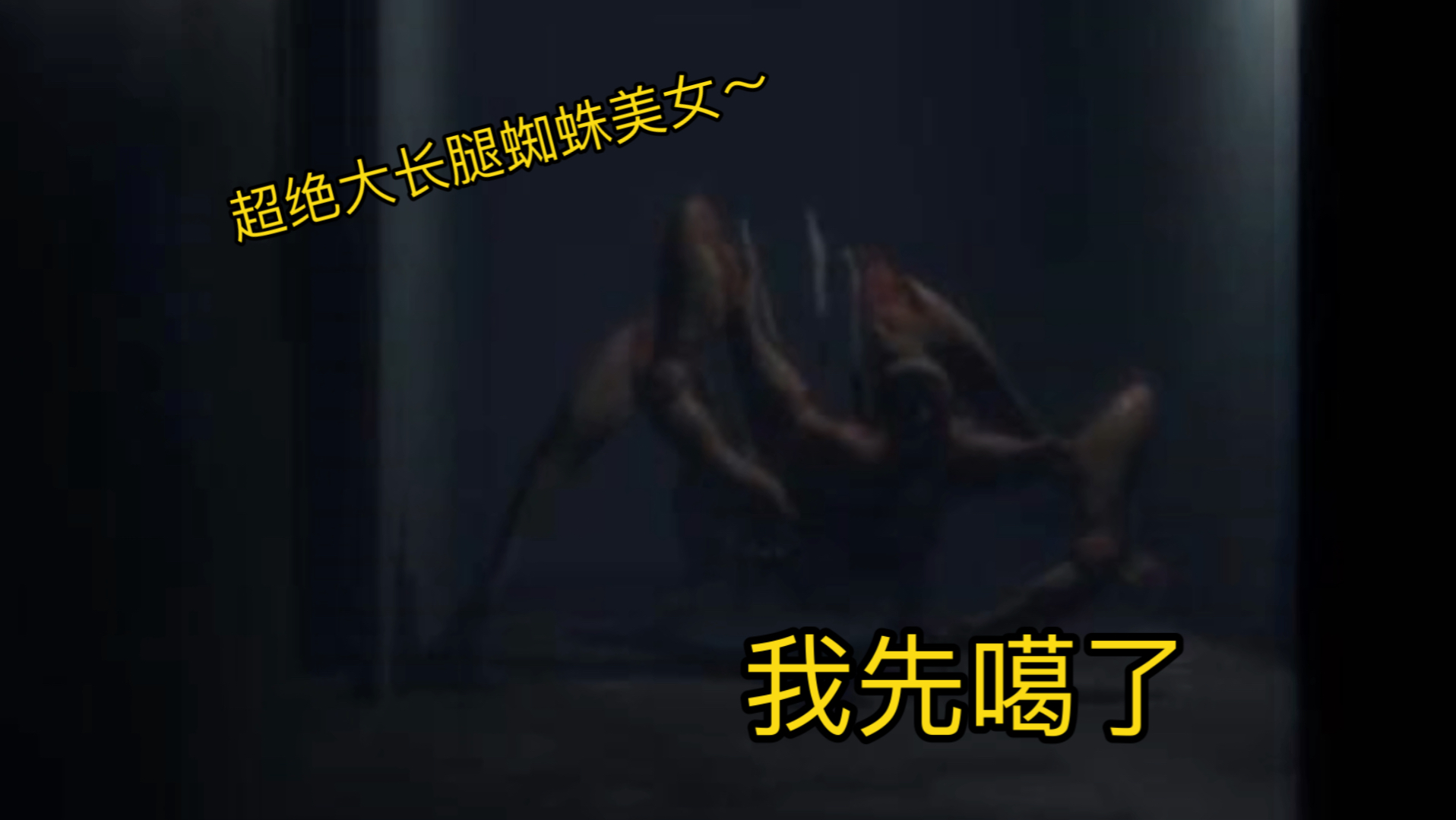 我看这个蜘蛛也是风韵犹存呐!