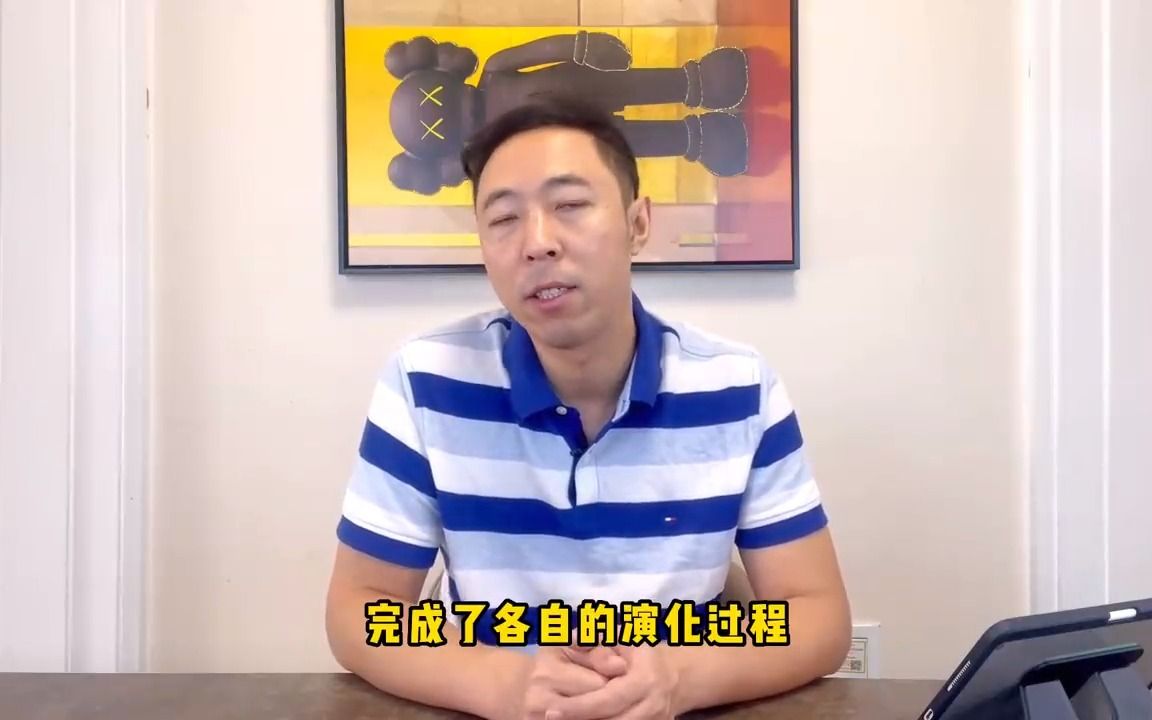 翼龙为什么不是恐龙?哔哩哔哩bilibili