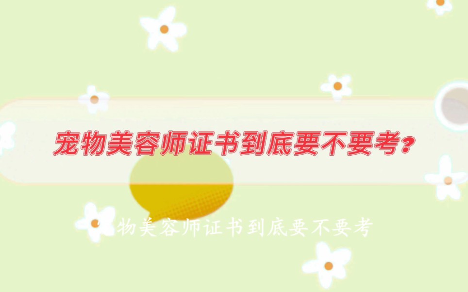 宠物美容师证书到底要不要考?哔哩哔哩bilibili