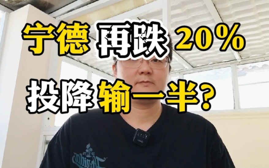 宁德还有20%下跌空间……投降输一半?哔哩哔哩bilibili