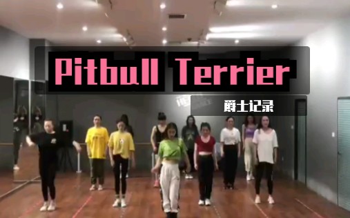 [图]【Pitbull Terrier】个人爵士舞学习记录（红衣小可爱）