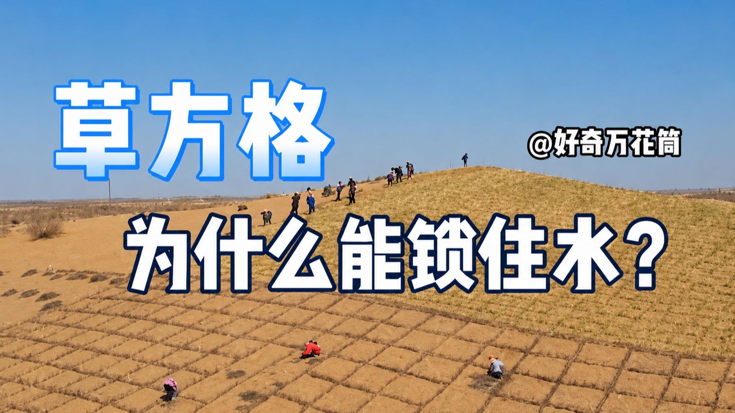 沙漠里的方格子，为什么能锁住水？