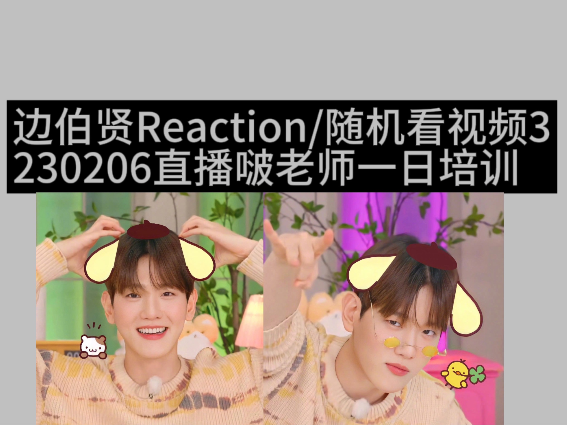 【边伯贤reaction】新粉随机看视频3 230206直播啵老师一日培训/好