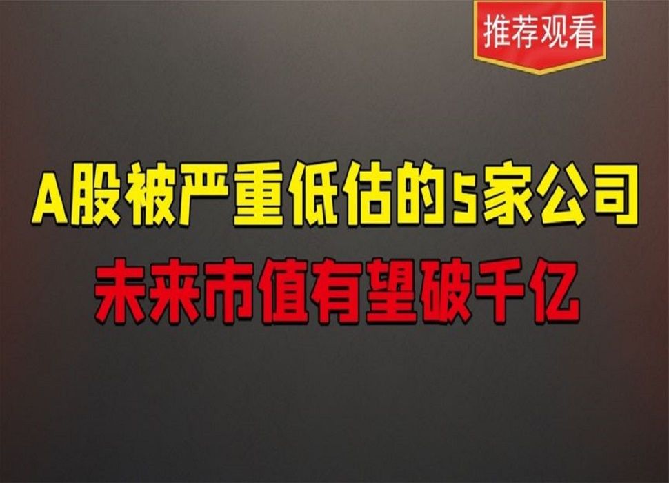 A股被严重低估的5家公司,未来市值有望到千亿哔哩哔哩bilibili