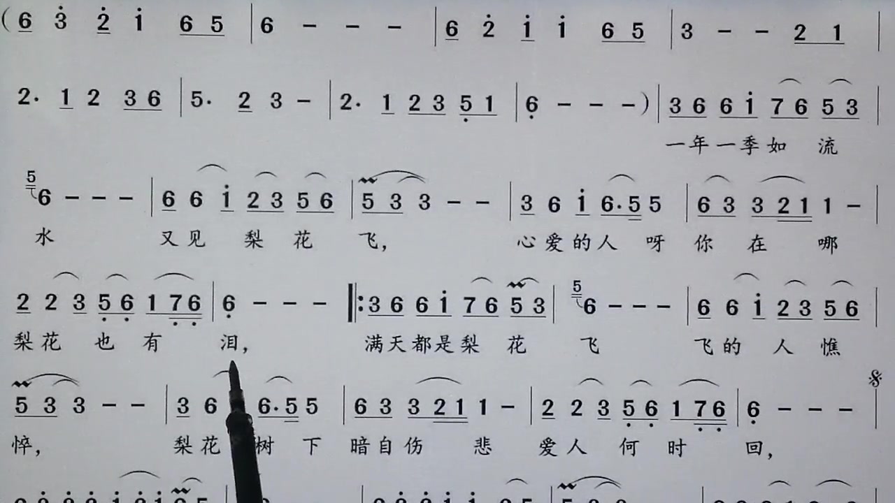 吕老师教简谱梨花飞情人泪