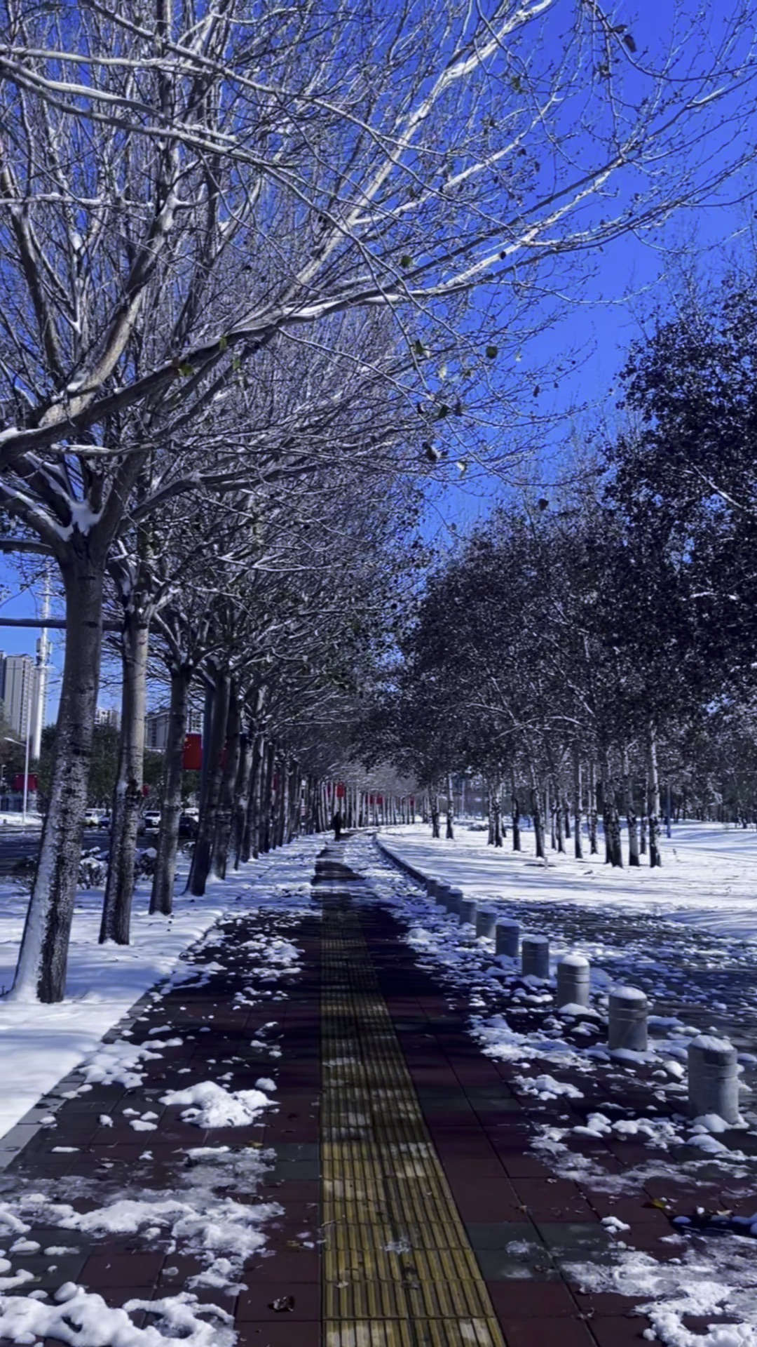 下雪天图片实景街道图片